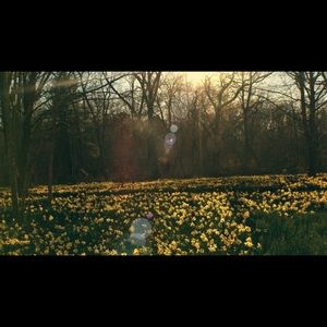 Meet your Posher, Evangeline